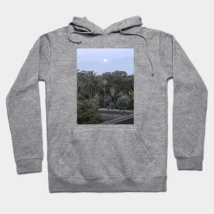 The View From My My Window - Landscape Hoodie